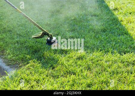 Usare il rasaerba per tagliare l'erba messa a fuoco selettiva verde a portata di mano Foto Stock