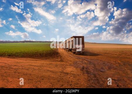 Camion sulla campagna dei terreni agricoli che trasporta la canna da zucchero al mulino in una giornata nuvolosa Foto Stock