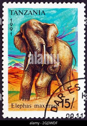 TANZANIA - CIRCA 1991: Un francobollo stampato in Tanzania mostra elefante asiatico, elephas maximus, animale, circa 1991 Foto Stock