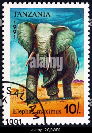 TANZANIA - CIRCA 1991: Un francobollo stampato in Tanzania mostra elefante asiatico, elephas maximus, animale, circa 1991 Foto Stock