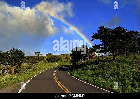 MAUI, HAWAII, USA...RAINBOW LUNGO LA ROUTE 31 SULLA COSTA MERIDIONALE Foto Stock