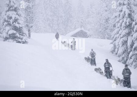 Francia, Haute-Savoie (74) stazione sciistica di Les Gets, adolescenti escursioni cane sledding in una tempesta di neve Foto Stock