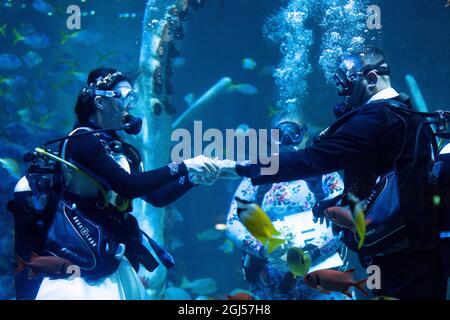 La sposa Lisa Huggins si prepara a scambiare gli anelli di nozze con Chris Jackson durante la loro cerimonia nuziale subacquea all'avventura del Bear Grylls, Birmingham. I fan delle immersioni erano dovuti sposarsi all'estero ma i loro piani erano scupati durante Covid, e cercavano un'alternativa unica. Data foto: Mercoledì 8 settembre 2021. Foto Stock