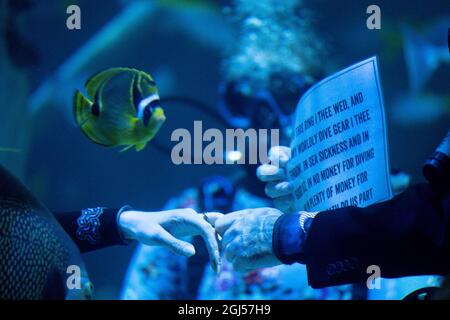 Lo sposo Chris Jackson si prepara a scambiare gli anelli di nozze con la sposa Lisa Huggins durante la loro cerimonia nuziale subacquea all'avventura di Grylls del Bear, Birmingham. I fan delle immersioni erano dovuti sposarsi all'estero ma i loro piani erano scupati durante Covid, e cercavano un'alternativa unica. Data foto: Mercoledì 8 settembre 2021. Foto Stock