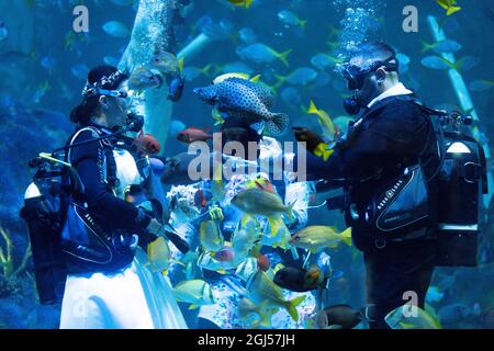 Lo sposo Chris Jackson si prepara a scambiare gli anelli di nozze con la sposa Lisa Huggins durante la loro cerimonia nuziale subacquea all'avventura di Grylls del Bear, Birmingham. I fan delle immersioni erano dovuti sposarsi all'estero ma i loro piani erano scupati durante Covid, e cercavano un'alternativa unica. Data foto: Mercoledì 8 settembre 2021. Foto Stock