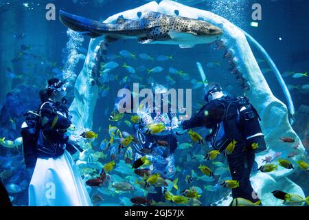 Lo sposo Chris Jackson si prepara a scambiare gli anelli di nozze con la sposa Lisa Huggins durante la loro cerimonia nuziale subacquea all'avventura di Grylls del Bear, Birmingham. I fan delle immersioni erano dovuti sposarsi all'estero ma i loro piani erano scupati durante Covid, e cercavano un'alternativa unica. Data foto: Mercoledì 8 settembre 2021. Foto Stock