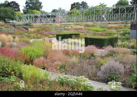 BOTTROP, GERMANIA - 21 AGOSTO 2021: Piantare in stile perenne prato progettato da Piet Oudolf nel Parco pubblico di Berna Foto Stock