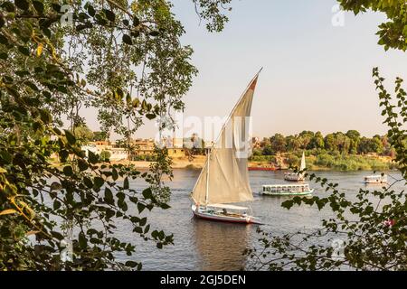 Africa, Egitto, Assuan. Settembre 20, 2018. Una feluca, una tradizionale barca a vela in legno, sul Nilo. (Solo per uso editoriale) Foto Stock