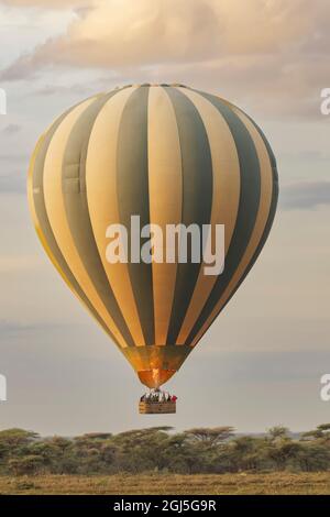Giro in mongolfiera sul Parco Nazionale di Serengeti all'alba, Tanzania, Africa. Foto Stock