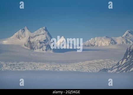 Antartide, Georgia del Sud. Nebbia e montagne innevate e ghiacciai. Credit as: Don Grall / Galleria Jaynes / DanitaDelimont.com Foto Stock