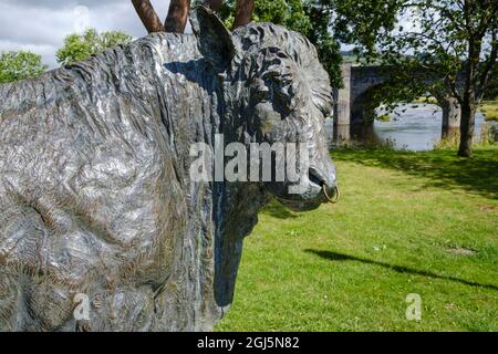 Scultura in bronzo a grandezza naturale di un toro nero gallese, Groe Park, Builth Wells, Powys, Galles Foto Stock