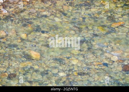 Bhutan. Fiume Paro, dettaglio di rocce fluviali. Foto Stock