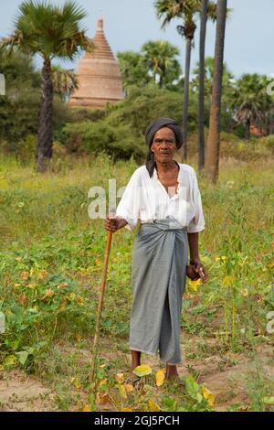 Uomo in piedi di fronte al Tempio a Bagan, Myanmar. Foto Stock