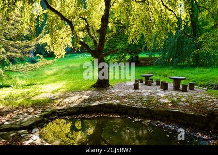 Paesaggio nel parco pubblico di Tivoli a Lubiana, Slovenia. Posto tranquillo sotto un albero vicino ad un laghetto con tavoli e sedie in legno. Foto Stock