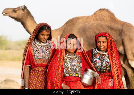 India, Gujarat, Grande Rann di Kutch, Bhuj, Tribe di FakiraniJat. Tre giovani donne si alzano di fronte ai cammelli della tribù e quando i loro avvolti vengono rimossi Foto Stock