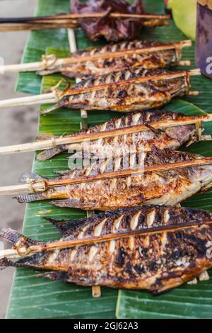 Laos, Luang Prabang. Mercato mattutino, pesce alla griglia. Foto Stock