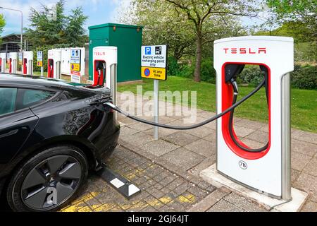 Noleggio auto elettriche compatibili con i cambiamenti climatici alla fila di parcheggi Tesla presso la struttura Welcome Break M42 stazione di servizio autostradale Birmingham UK Foto Stock