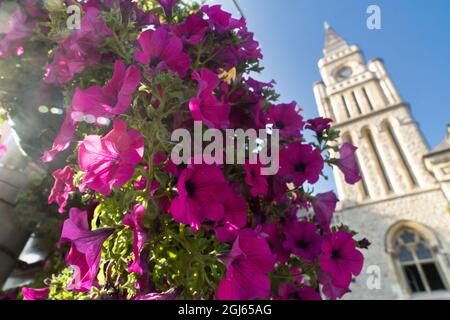 Ealing Broadway, Londra, Regno Unito Foto Stock