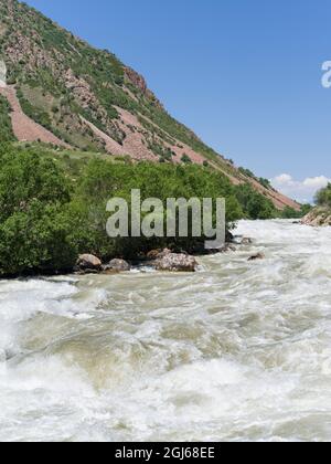 Valle del fiume Suusamyr nei Monti Tien Shan, Kirghizistan Foto Stock