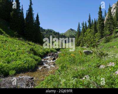 Lungo la pista che conduce al passo di montagna Moldo Aschu. Paesaggio al lago Song Kol (Son Kul, Songkol, Song-Koel). Tien Shan montagne o celeste mou Foto Stock