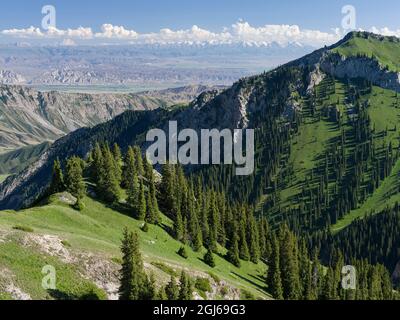 Lungo la pista che conduce al passo di montagna Moldo Aschu, vista verso la pianura del fiume Naryn. Paesaggio al lago Song Kol (Son Kul, Songkol, Song-Koe Foto Stock