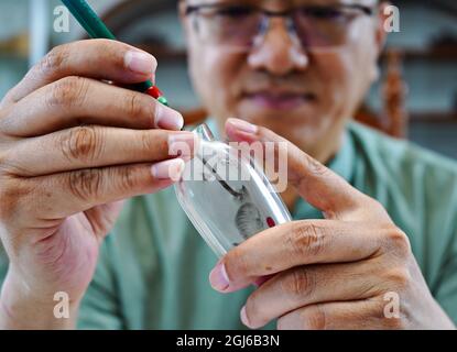 (210909) -- HENGSHUI, 9 settembre 2021 (Xinhua) -- Wang Ziyong crea opere di pittura interna sulla superficie interna di una bottiglia di serpente in un museo che presenta dipinti interni nel distretto di Taocheng di Hengshui City, provincia di Hebei della Cina settentrionale, 4 settembre 2021. La pittura interna, o pittura interna, è una forma d'arte cinese tradizionale. In origine coinvolge piccole bottiglie di tabacco da fiuto che hanno immagini e calligrafia dipinte sulla superficie interna della bottiglia. Le pitture della bottiglia del tabacco da fiuto sono prodotte manipolando un pennello specializzato attraverso il collo della bottiglia. Il processo di pittura, che è completamente reve Foto Stock