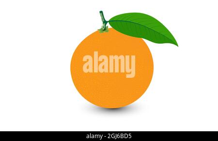 Vettore arancione con foglie isolate su sfondo bianco. Disegno vettoriale della frutta. Illustrazione Vettoriale