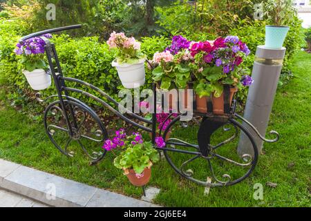 Azerbaigian, Baku. Bicicletta con dettagli fiori, piccolo parco cittadino Foto Stock