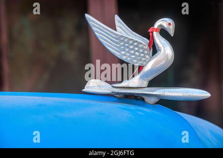 Particolare di cigno ornamento di solito trovato sulla Packard americana classica in Vieja, vecchio Habana, l'Avana, Cuba. Foto Stock