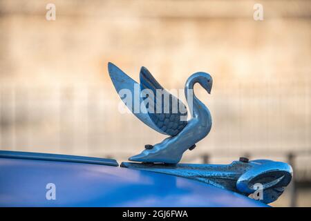 Primo piano di un ornamento con cofano a cigno su una classica auto blu americana a Vieja, vecchia Habana, Havana, Cuba. Foto Stock