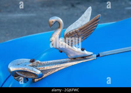 Primo piano un ornamento con cofano a cigno su una classica auto blu americana a Vieja, vecchia Habana, Havana, Cuba. Foto Stock