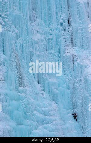 Ice climber sul piangente muro di ghiaccio nel Banff National Park, Alberta, Canada. Foto Stock