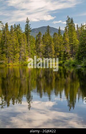 Canada, British Columbia, Brandywine Falls Provincial Park. Nuota il paesaggio del lago. Credit as: Don Paulson / Galleria Jaynes / DanitaDelimont.com Foto Stock