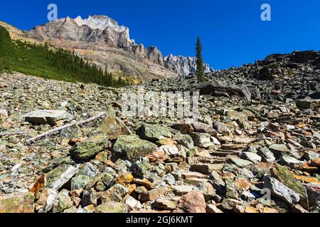 Scalini di pietra sul Lake Oesa Trail, Yoho National Park, British Columbia, Canada Foto Stock