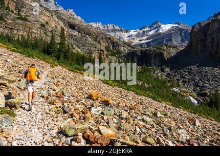 Escursionista sul Lago Oesa Trail, Yoho National Park, British Columbia, Canada. (SIG.) Foto Stock