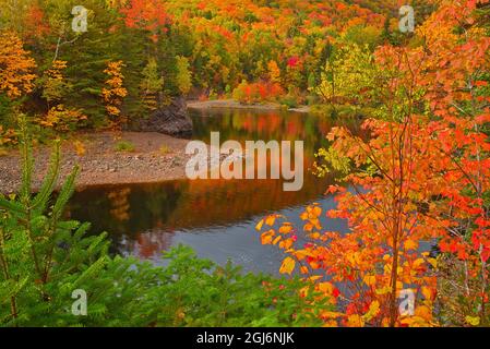 Canada, Nuova Scozia. Indian Brook e foresta in autunno. Credit as: Mike Grandmaison / Jaynes Gallery / DanitaDelimont. com Foto Stock