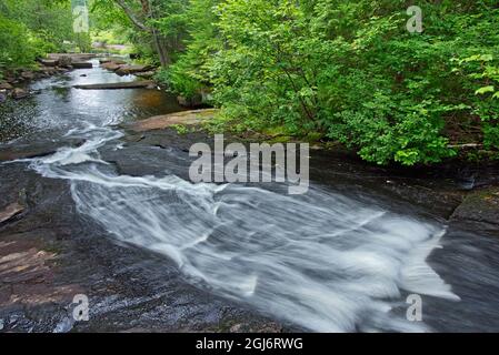 Canada, Quebec, Parco Nazionale la Mauricie. Ruisseau Bouchard Creek panoramico. Credit as: Mike Grandmaison / Jaynes Gallery / DanitaDelimont. com Foto Stock