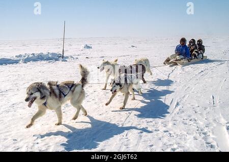 Lago Baker, Nunavut, Canada. Le persone vestite con abiti tradizionali in pelle di caribù e abbigliamento artico moderno cavalcano su una slitta dietro la squadra di cani. La squadra i Foto Stock