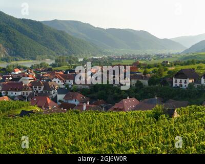 Il villaggio storico di Weissenkirchen è situato nella zona vinicola, patrimonio dell'umanità dell'UNESCO. Austria inferiore Foto Stock
