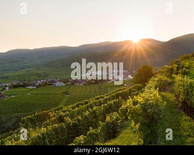 Il villaggio storico di Weissenkirchen è situato nella zona vinicola, patrimonio dell'umanità dell'UNESCO. Austria inferiore Foto Stock