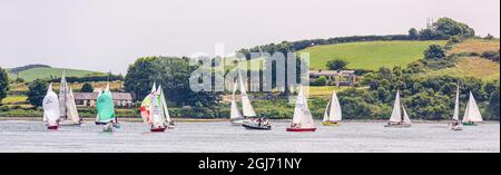 Barche a vela in una regata a Strangford Lough, Irlanda del Nord Foto Stock