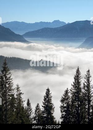 Vista dal Monte Hoernle su un mare di nebbia che nasconde la valle del fiume Ammer verso la catena montuosa di Wetterstein. alpi Bavaresi nei pressi di Unterammergau nel Foto Stock