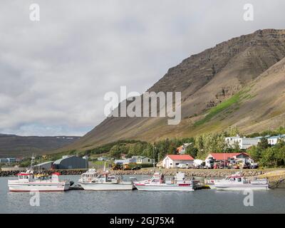 Porto di Bildudalur a Sudurfjirdir fiordo. Il remoto Westfjords (Vestfirdir) nel nord-ovest dell'Islanda. (Solo per uso editoriale) Foto Stock