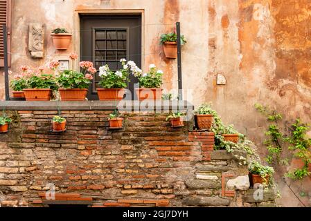 Italia, Roma. Trastevere, Via della luce, fiori su scala di mattoni entrata a casa. Foto Stock