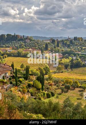 Italia, Toscana. Paesaggio tipico toscano. Foto Stock