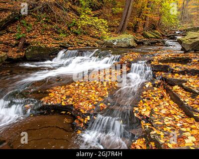 Cascate al Ricketts Glen state Park, Pennsylvania Foto Stock