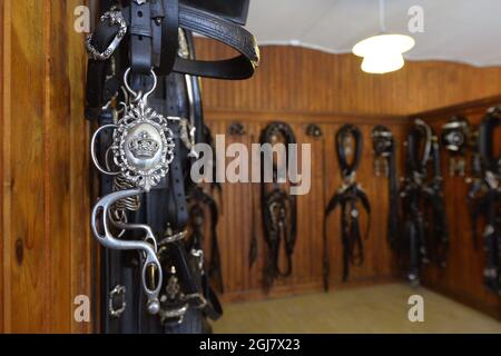 Venerdì, la stampa ha mostrato le Royal Mews e le carrozze e cavalli che officieranno alle nozze della Principessa Madeleine e del Sig. Christopher o'Neill Sabato 8 giugno. L'immagine mostra le imbracature dei cavalli. Foto: Anders Wiklund / SCANPIX / kod 10040 Foto Stock