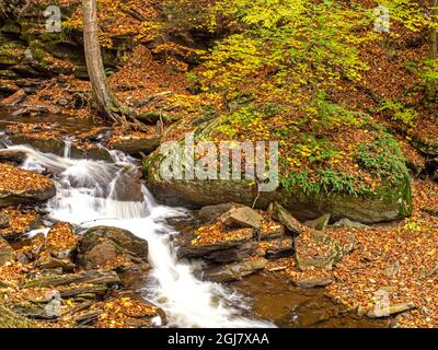 Cascate al Ricketts Glen state Park, Pennsylvania Foto Stock