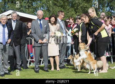 FORSHAGA 2013 Re Carl Gustaf di Svezia e Regina Silvia. Kung Carl Gustaf och Drottning Silvia ser pÃƒÂ¥ hund dressyr. Detta pÃƒÂ¥ Forshagaakademi, besÃƒÂ¶ket var en del AV kungens resa i VÃƒÂ¤rmland idag. Kungen reser under Ãƒâ ¥ ret till alla svenska lÃƒÂ¤n som en del AV hans firande AV 40 Ãƒâ ¥ r pÃƒÂ¥ tronen.ka lÃƒÂ¤n som en del AV hans firande AV 40 Ãƒâ ¥ r pÃƒÂ tronen. Foto: Fredrik Sandberg / SCANPIX / Kod 10080 Foto Stock