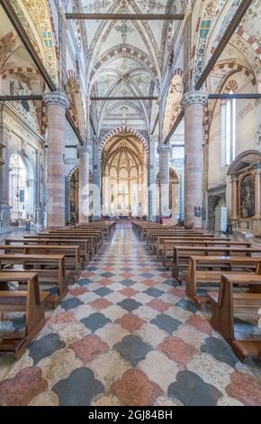 Italia, Verona. Basilica di Sant'Anastasia costruita nel XIV secolo Foto Stock